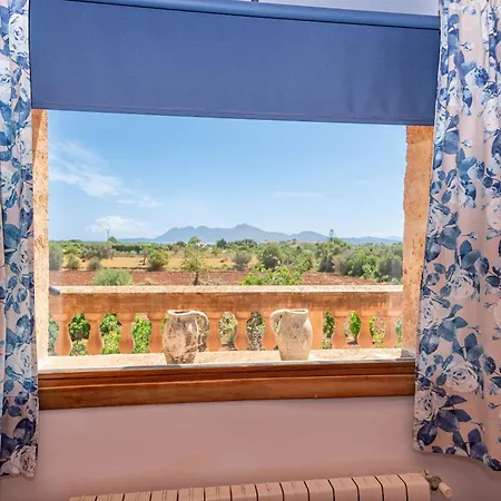 Els Amatllers By Sealand